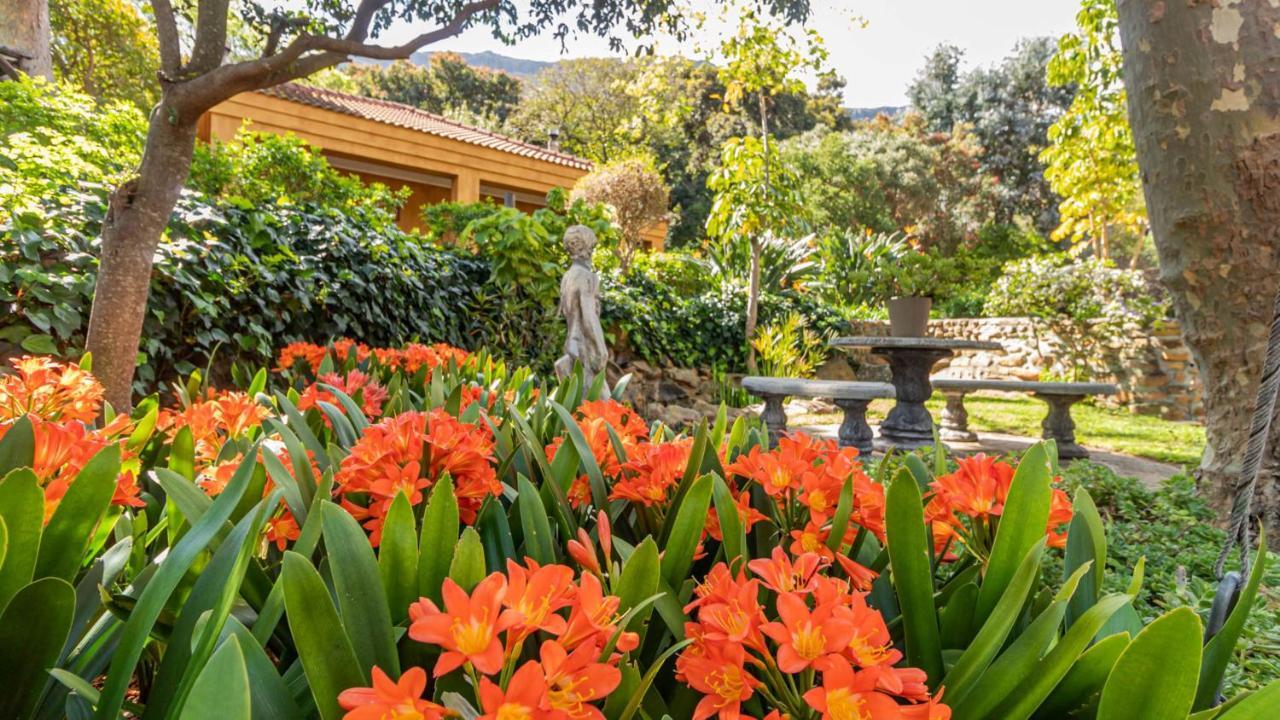 Cap Serein Guest House Cape Town Bagian luar foto