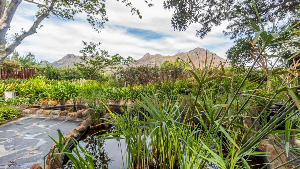 Cap Serein Guest House Cape Town Bagian luar foto
