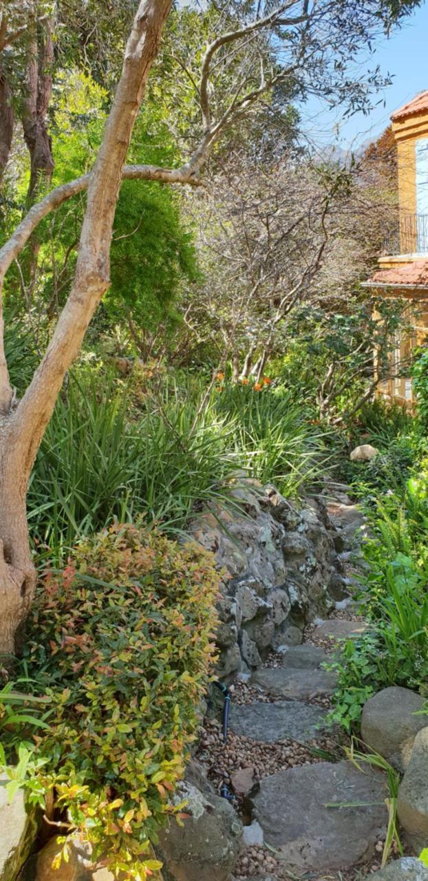 Cap Serein Guest House Cape Town Bagian luar foto