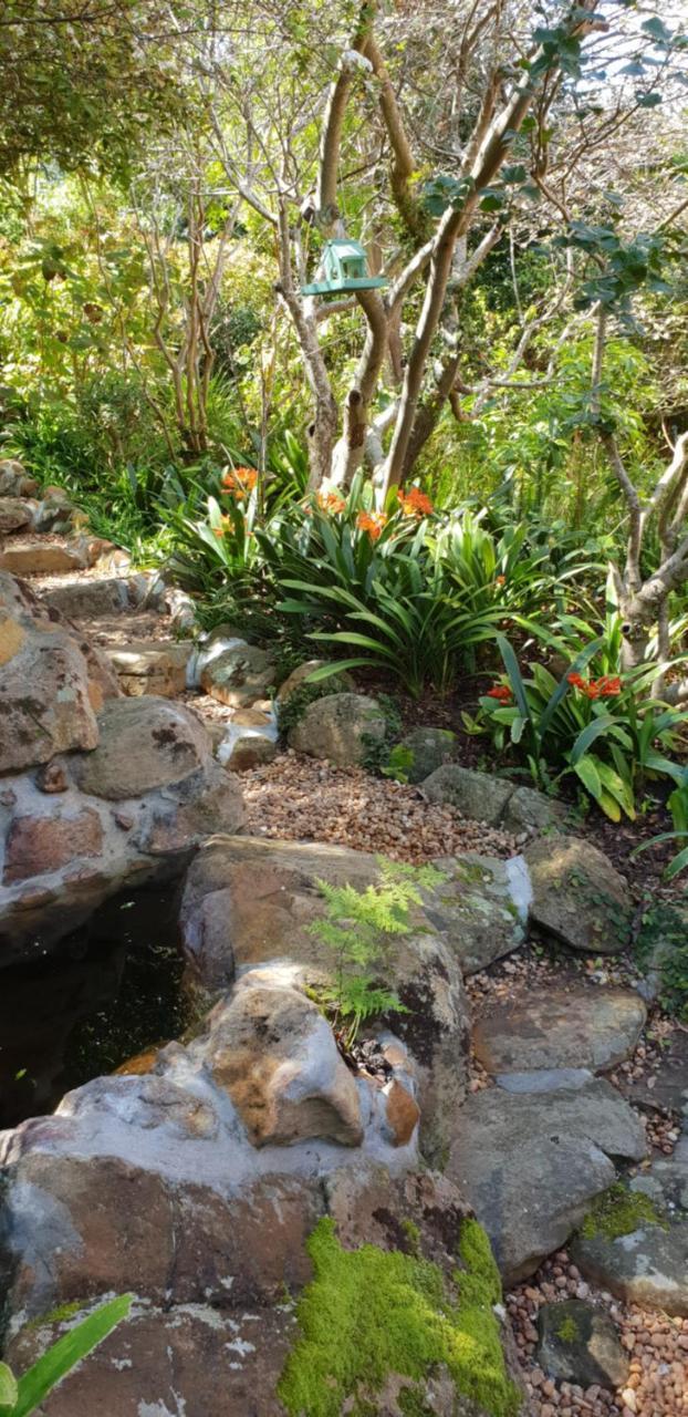 Cap Serein Guest House Cape Town Bagian luar foto