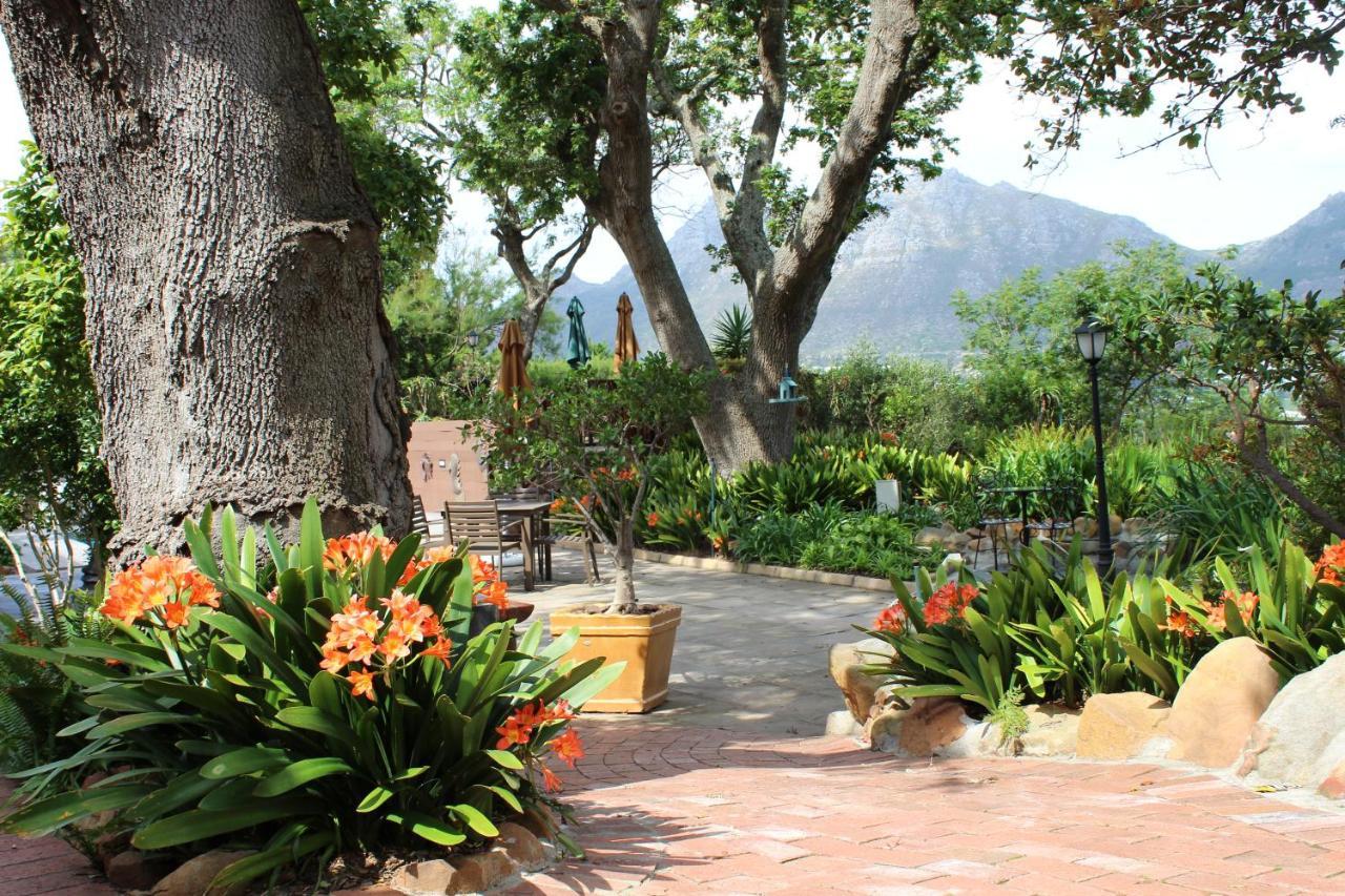 Cap Serein Guest House Cape Town Bagian luar foto